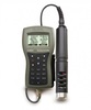 HI9829-01042 Hanna Instruments ���������� ����